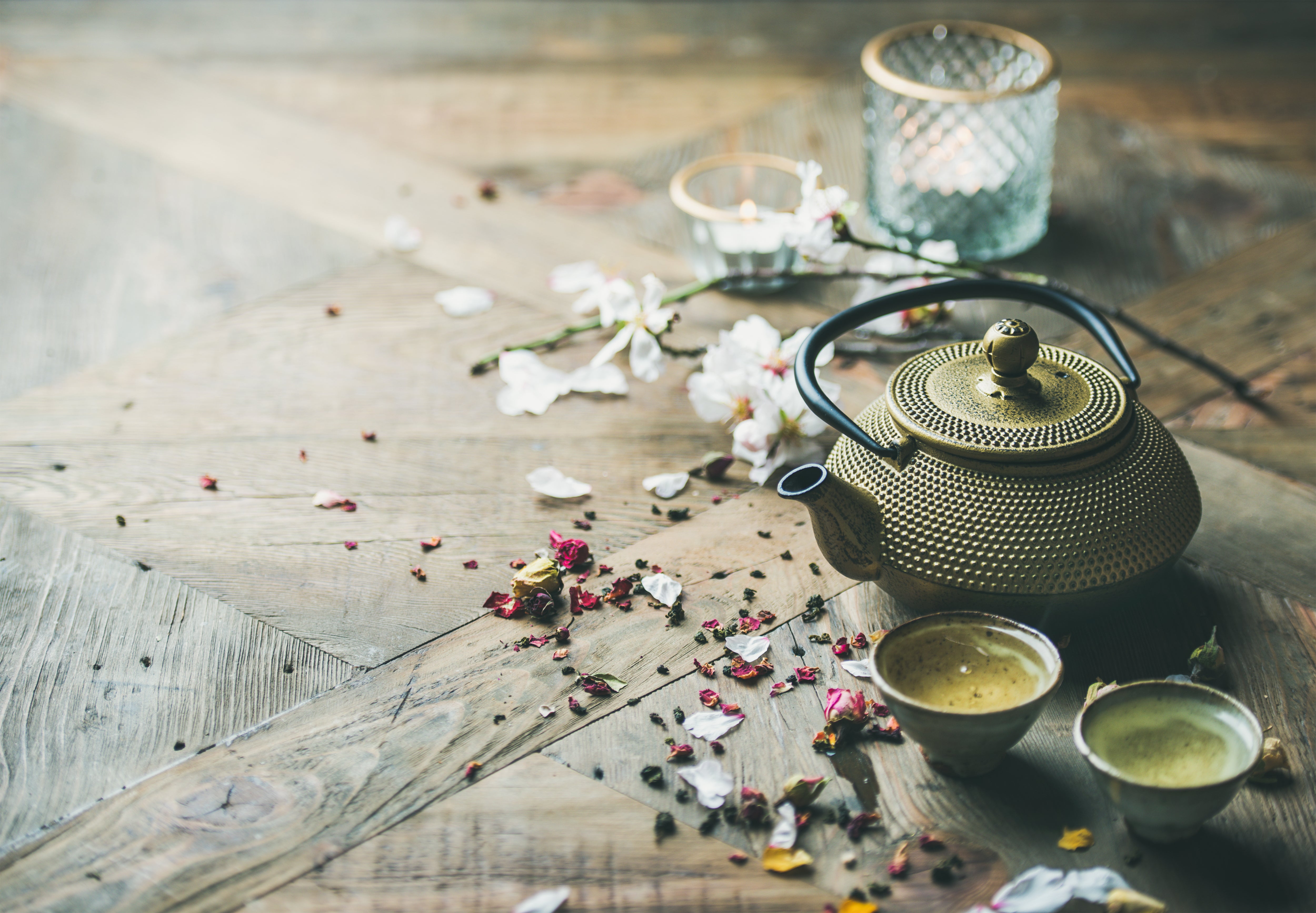 Limited Edition – VIP Wellness Tea®
